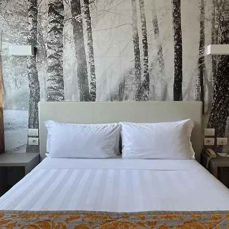 Hotel Napoleon 4*