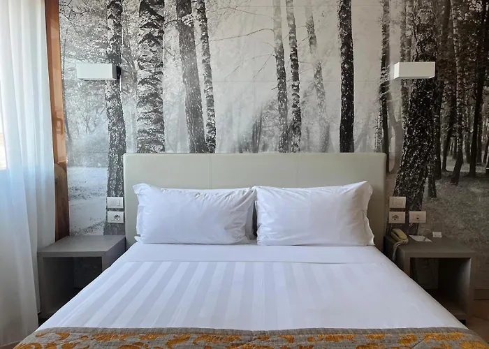 Hotel Napoleon 4*